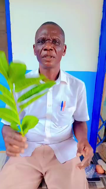 @K Y HERBAL CENTRE- WINNEBA