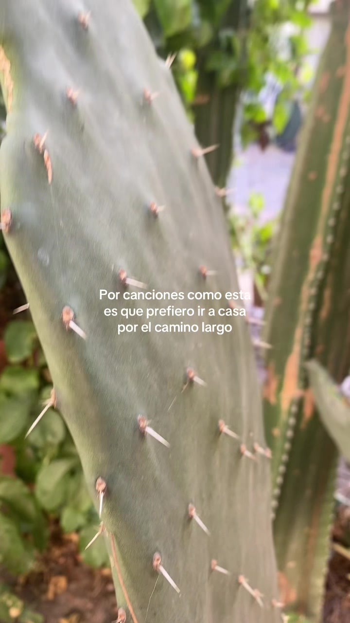@canciónes que no conocias