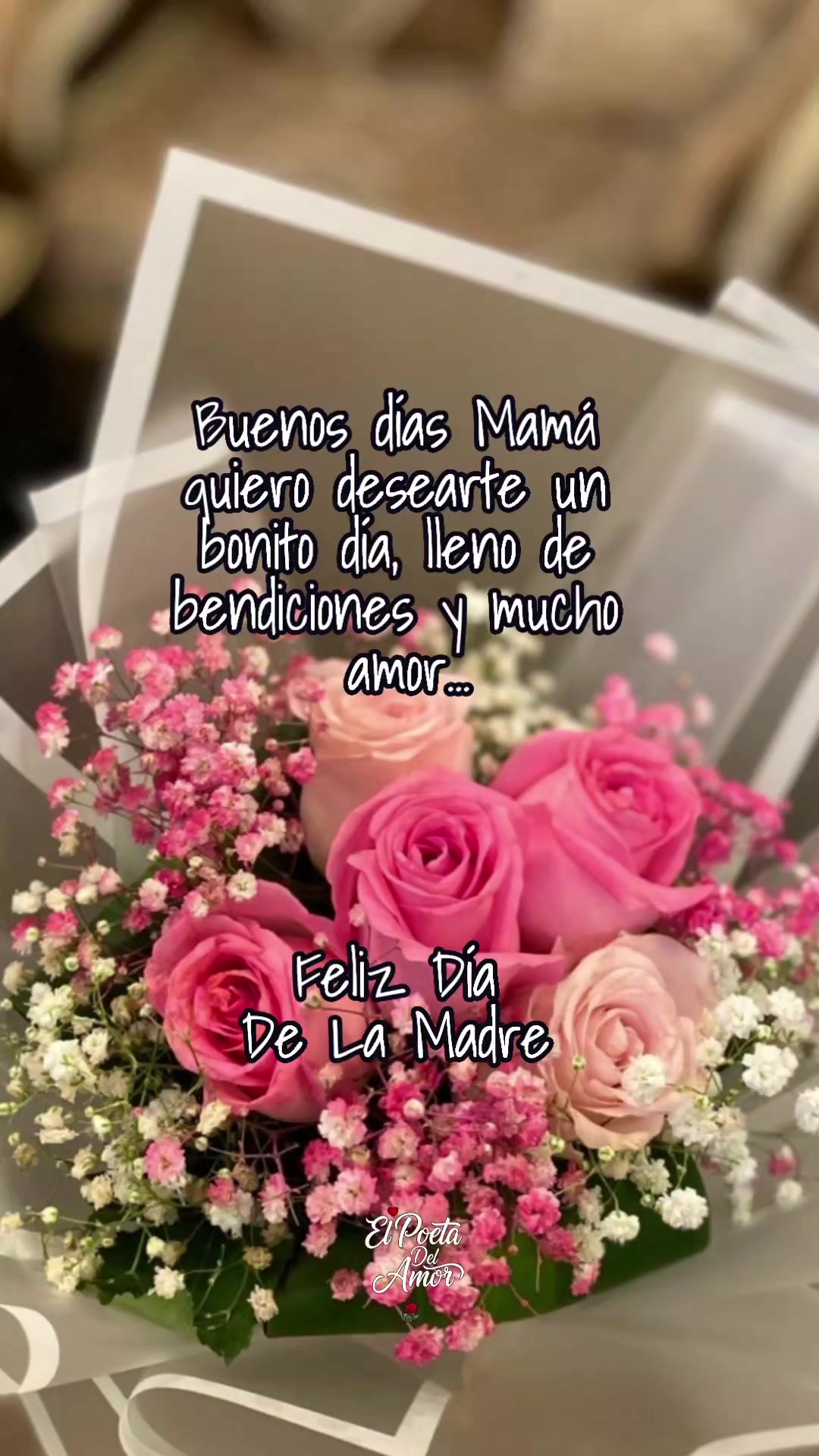 @EL POETA DEL AMOR