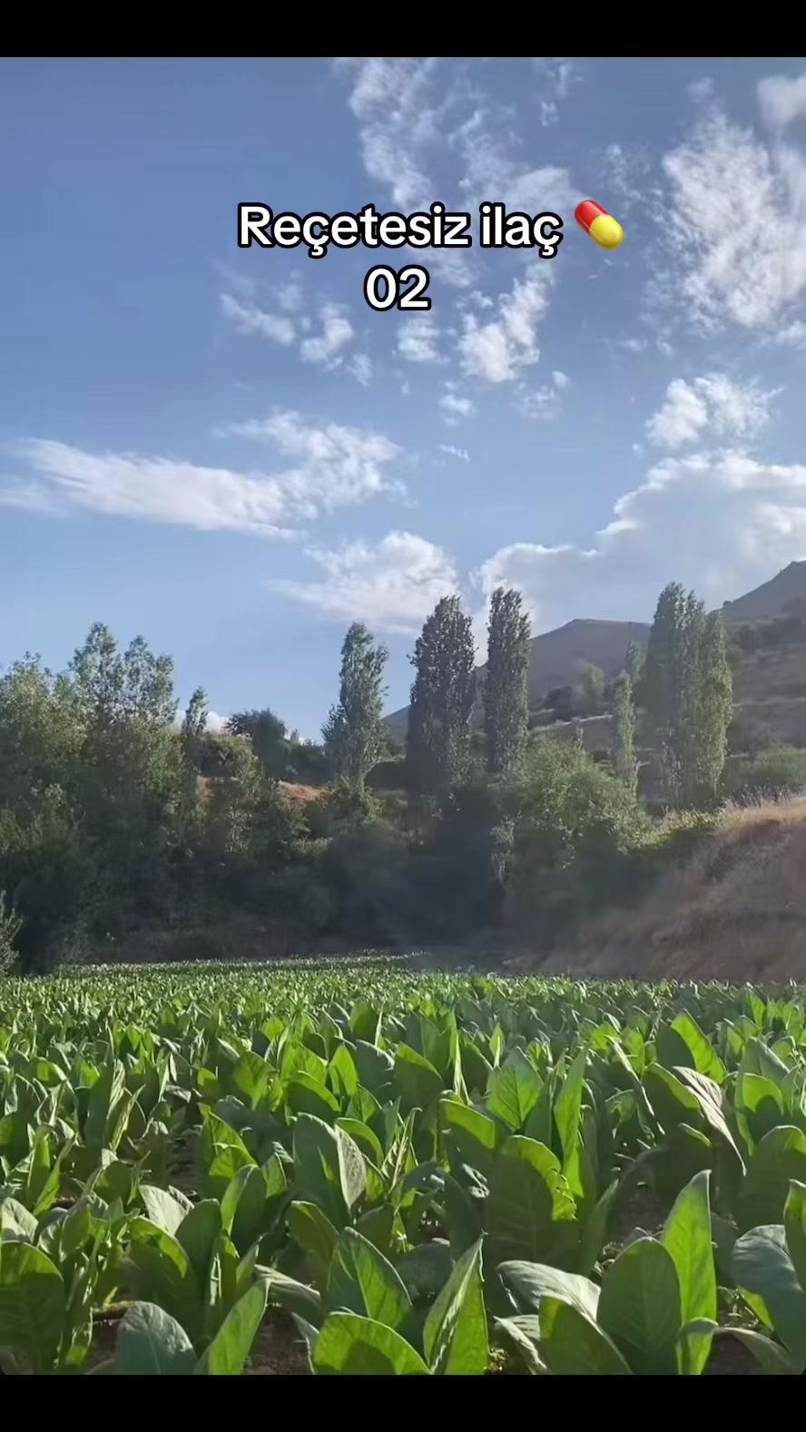 @Abdulkadir Altındağ