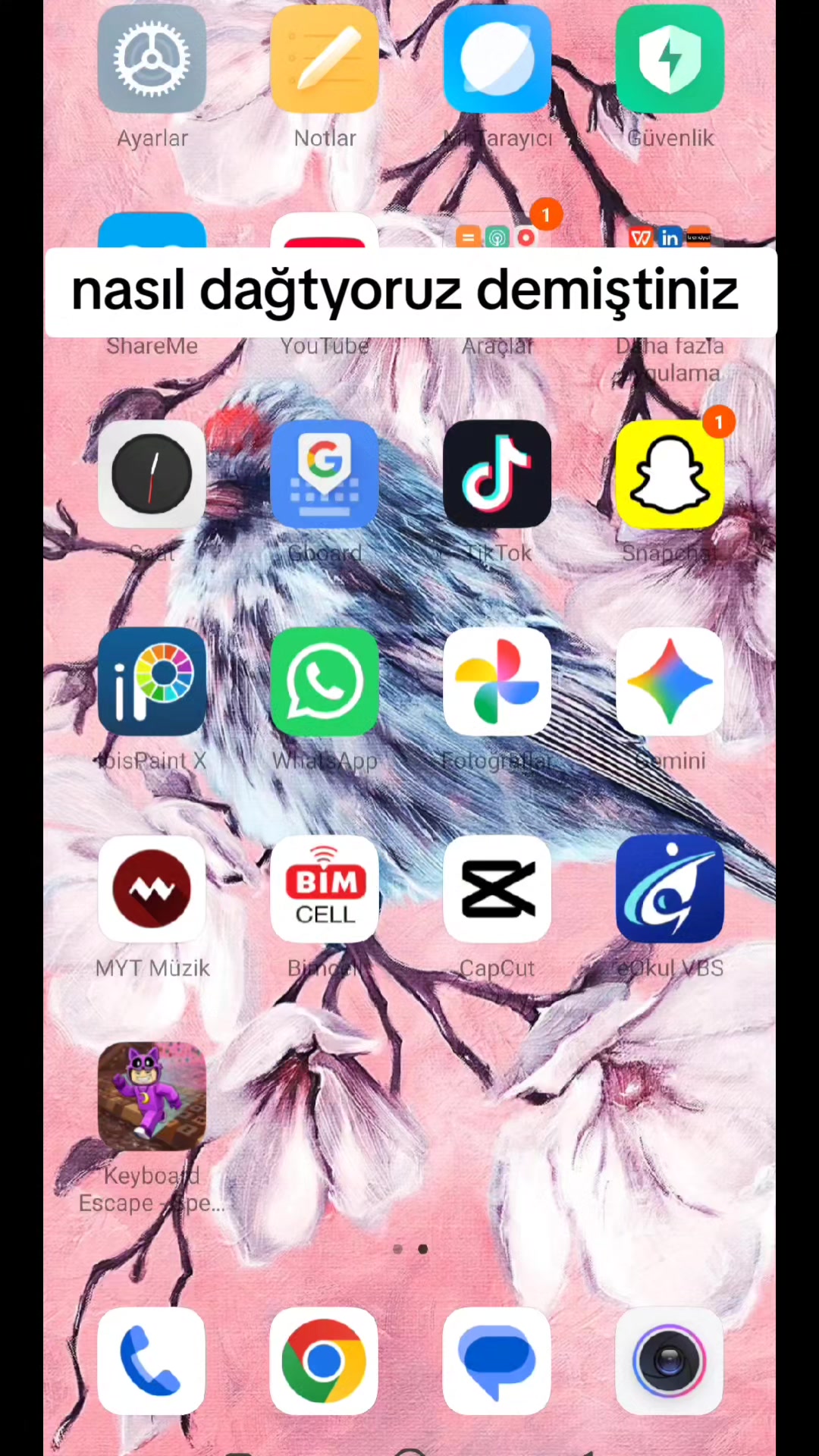 @zoktayfamm *ੈ✩‧₊˚༺☆༻*ੈ✩‧₊˚