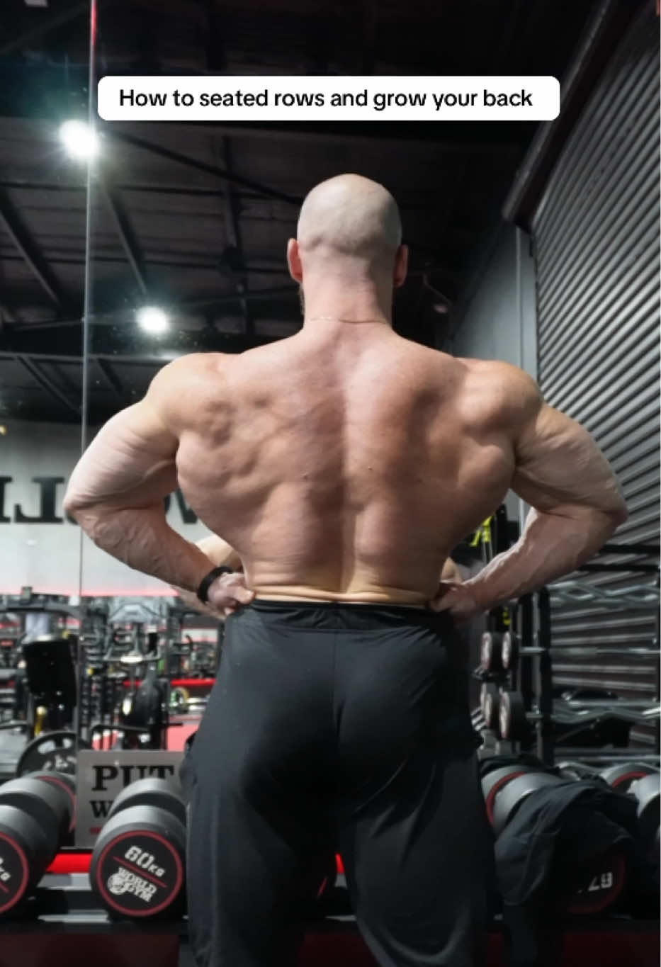 @Kyl Raggio | IFBB Pro