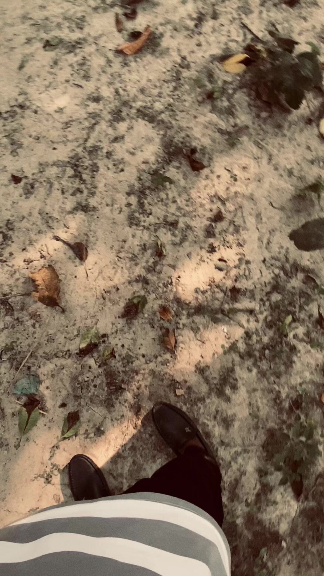 @𝙼𝚛.𝚁𝙰𝙺𝙸𝙱࿐