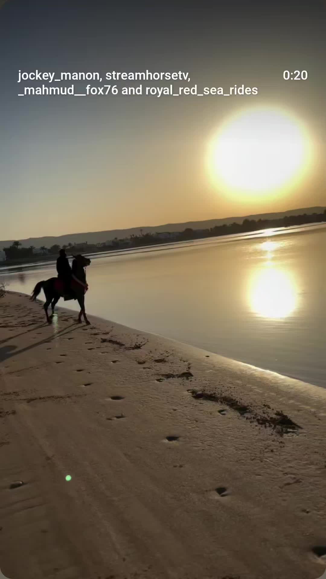 @streamhorse