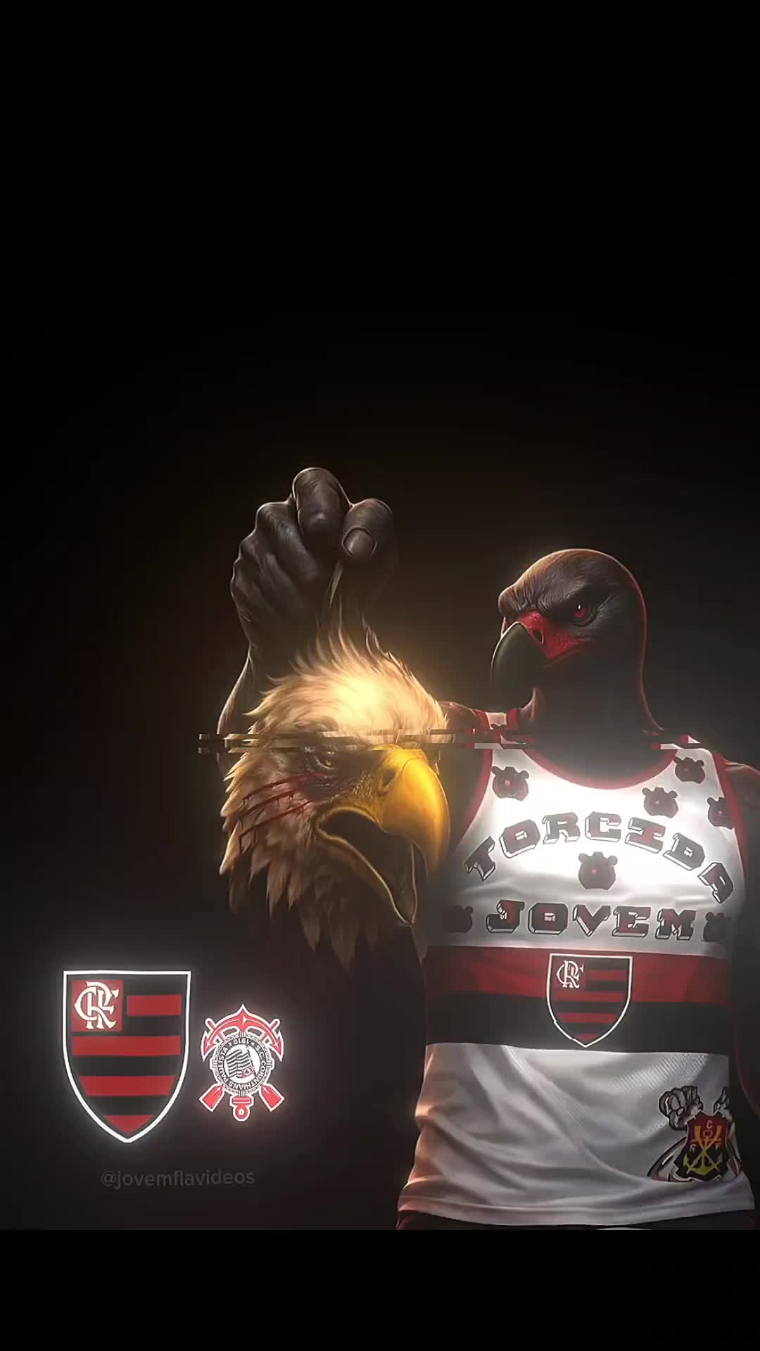 @jovemflavideos