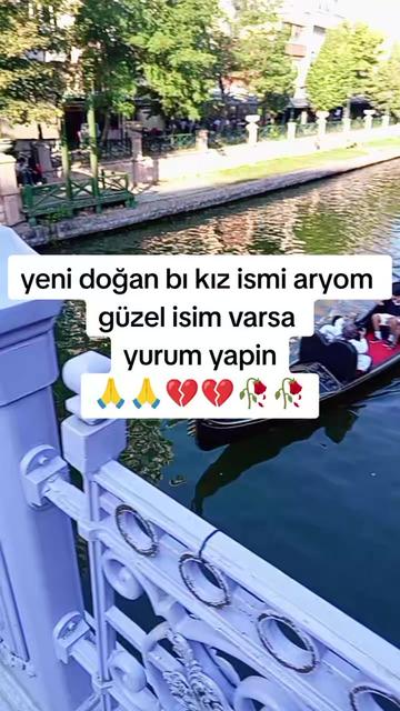 @mizgin