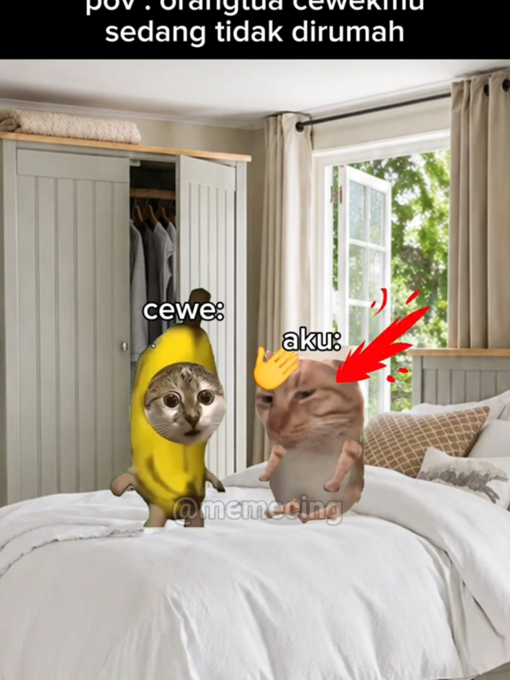 @Memecing