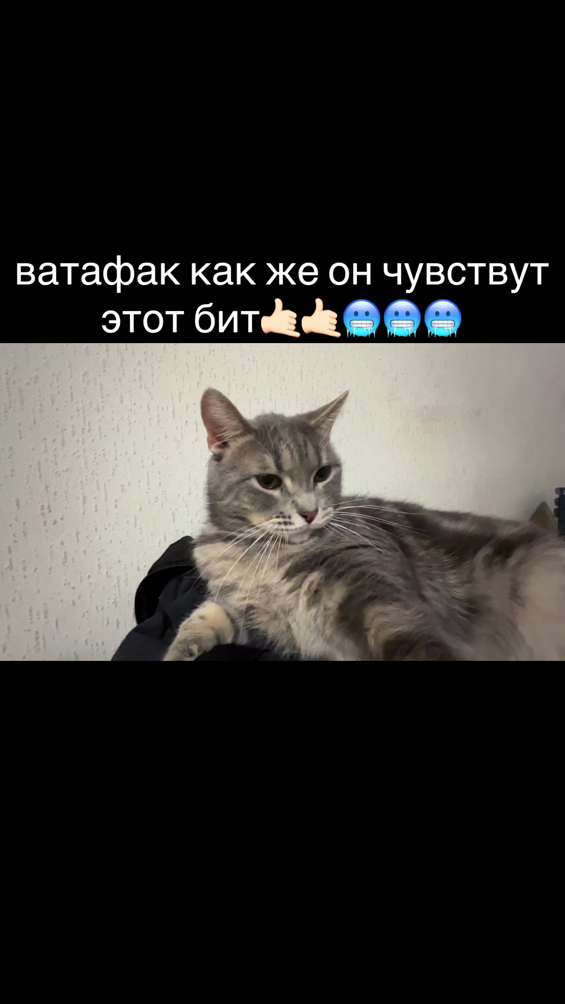 @тгк: шнурки^^
