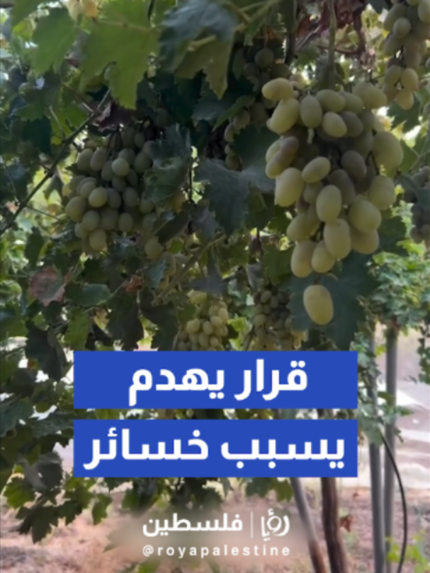 @Royapalestine رؤيا فلسطين