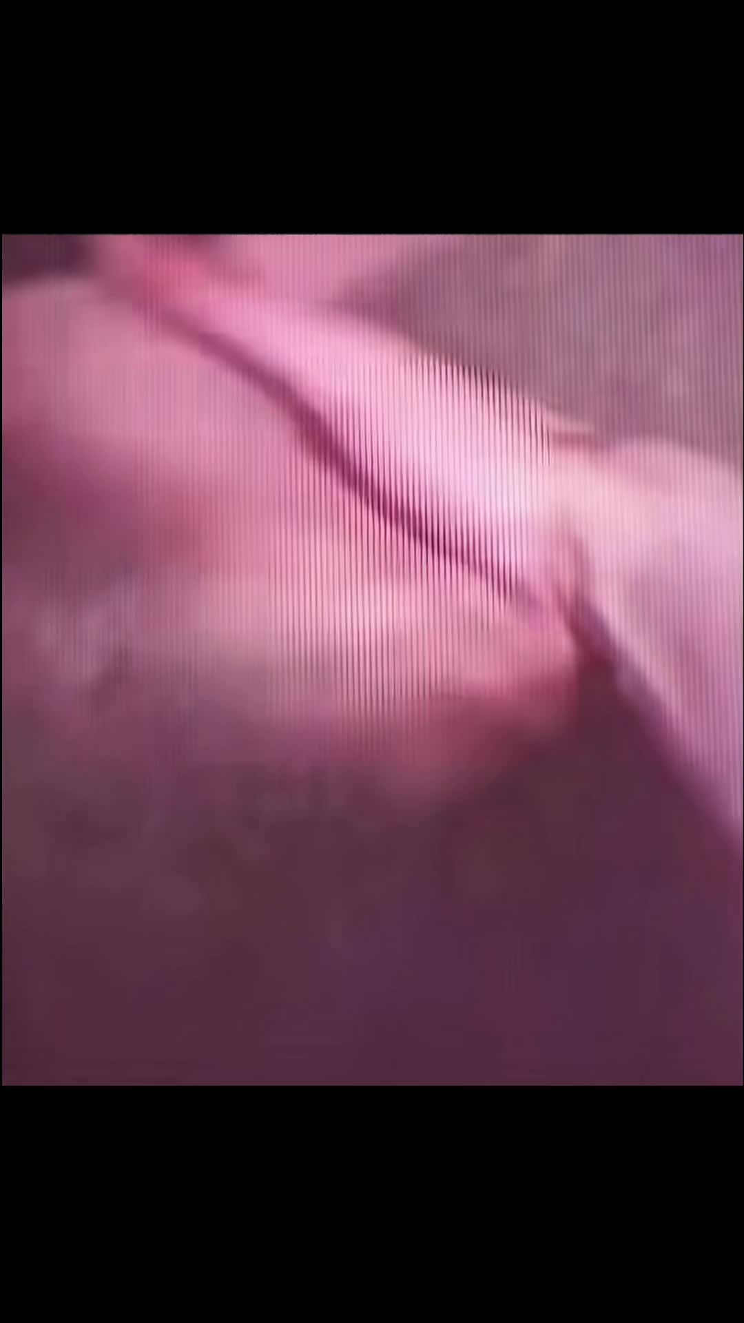 @꧁ 蒋晨阳 ꧂