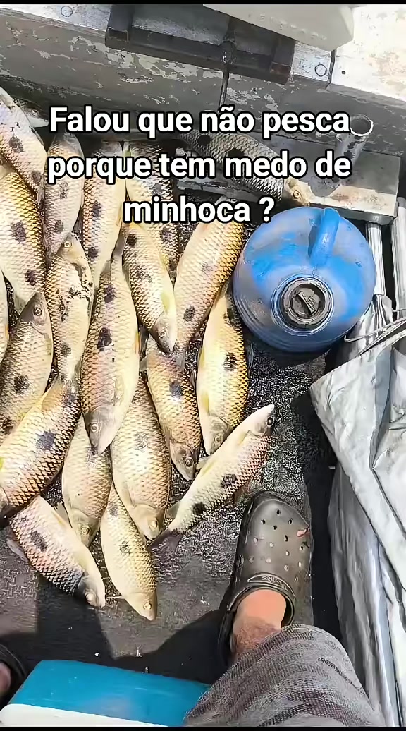 @danilin #taquaiado
