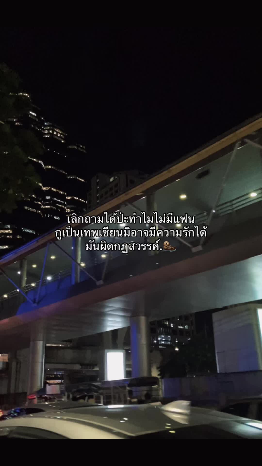 @แมวอ้วน🐈⬛