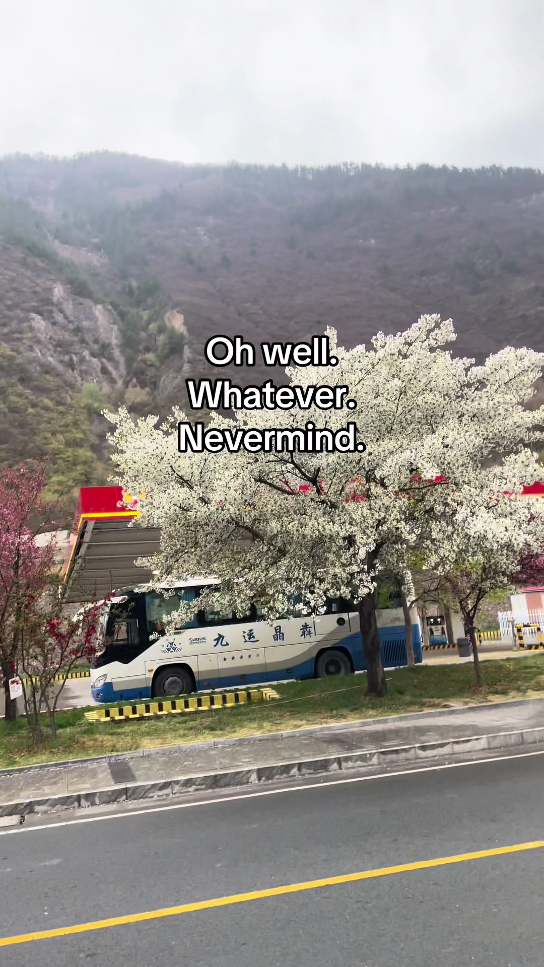 @~丰Аlenka丰~