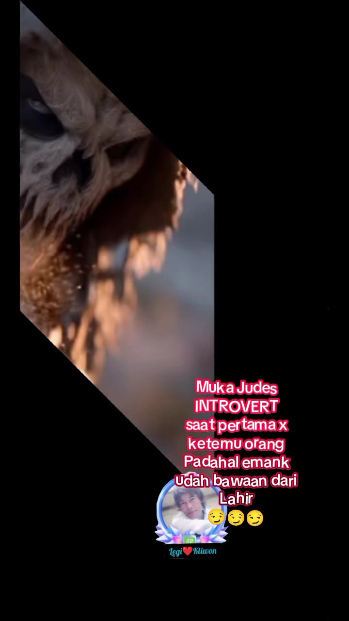 @DwiLingling