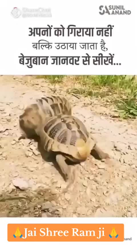 @Jai Shree Ram 🌹🙏🌹