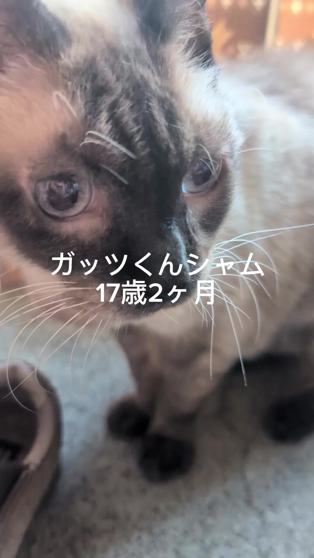 @睡眠プロデュース