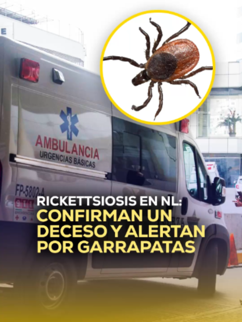 @MVS Noticias Monterrey