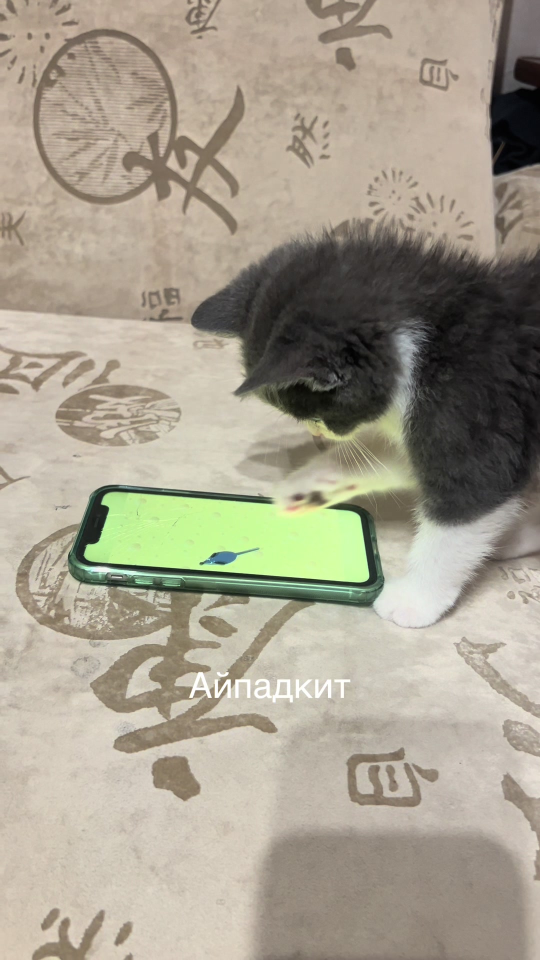 @диана