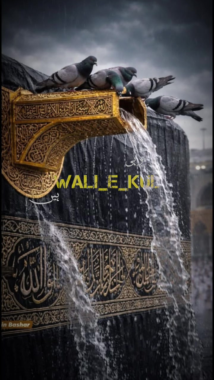 @Crazy King đ Sakib