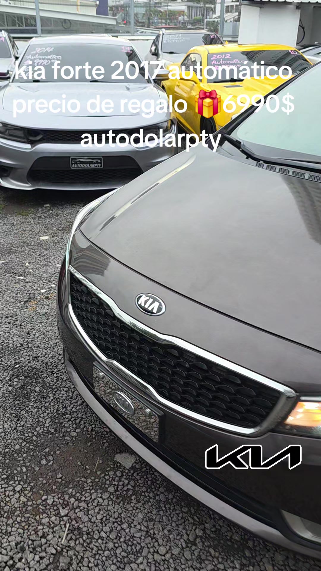 @autodolarpty • Panamá🇵🇦