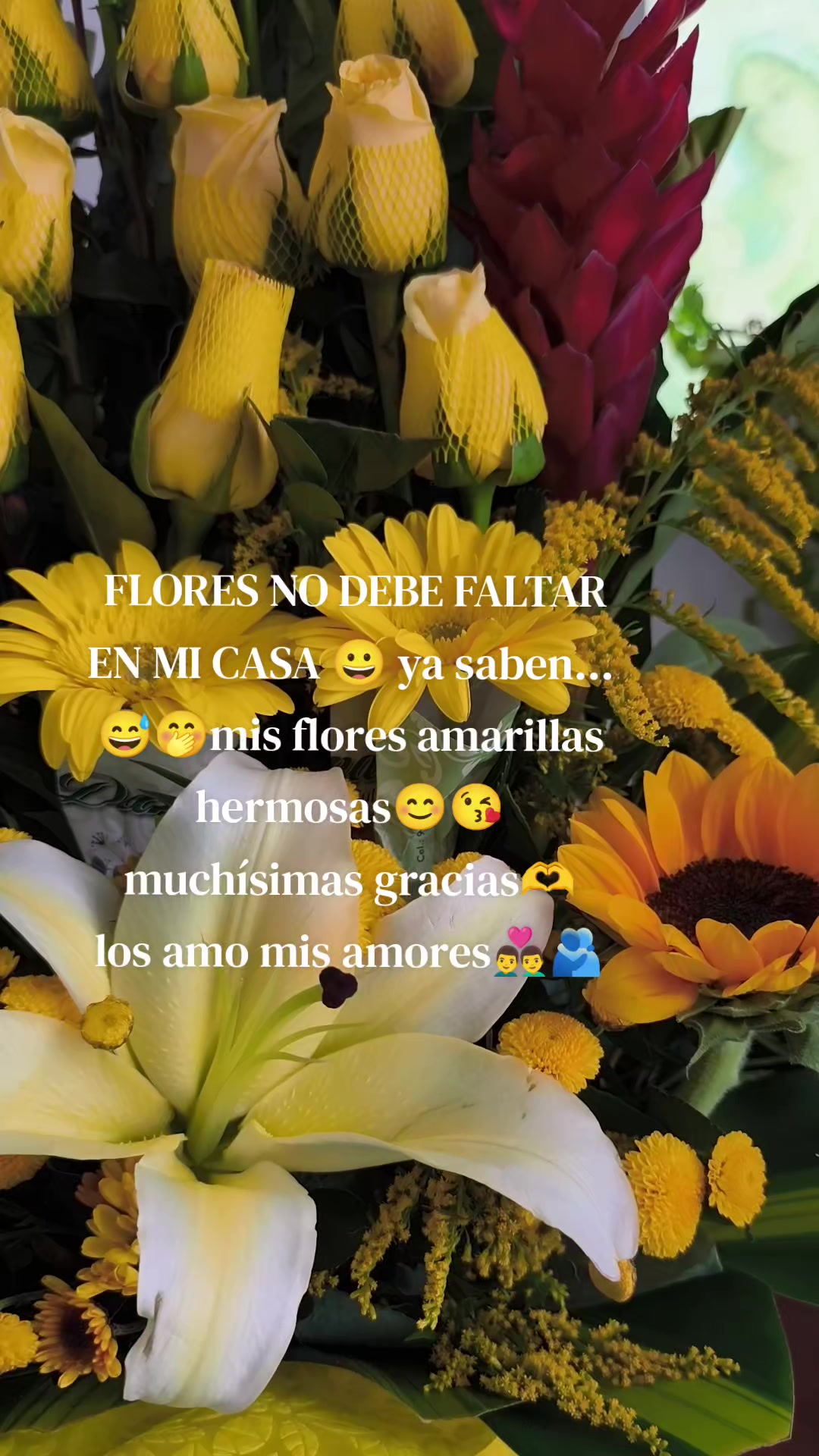 @HELEN❣️ 🐝🦋 RAYO DE LUZ 🦋🐝