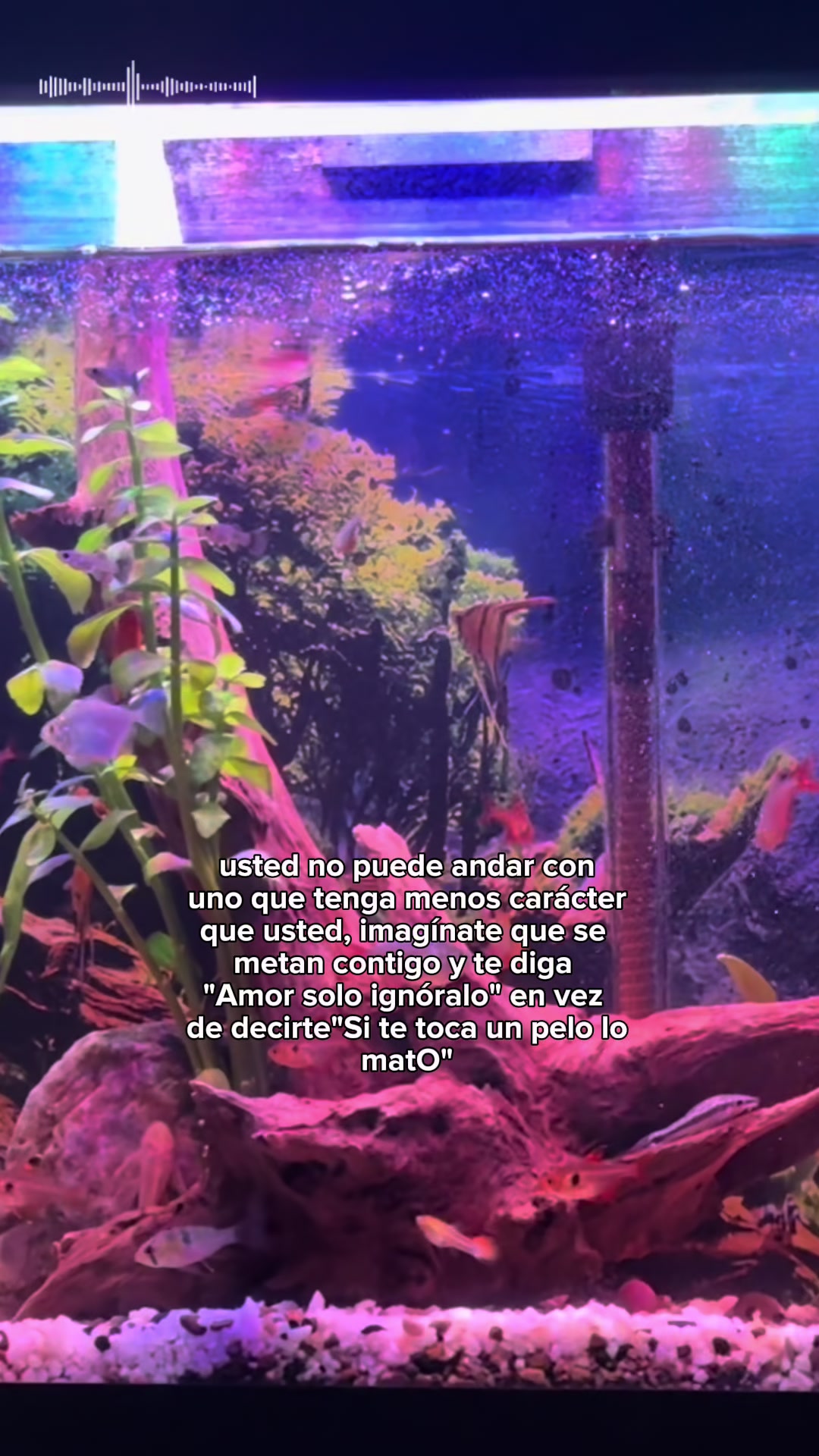 @Mar&iacute;a Alejandra ❤️&zwj;🔥👩🏼&zwj;🦰🐍