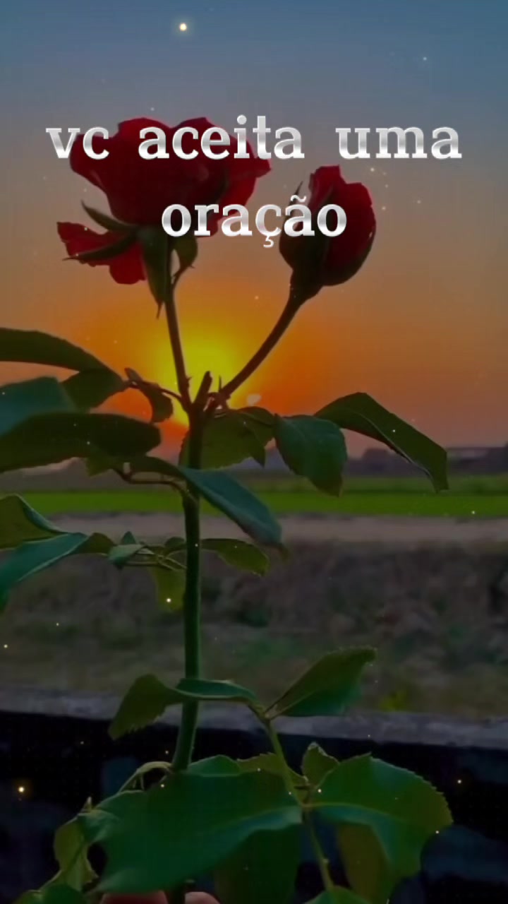 @🦂JOYCE⚡explosao43ʸᵉˢʰᵘᵃ✞𓃬
