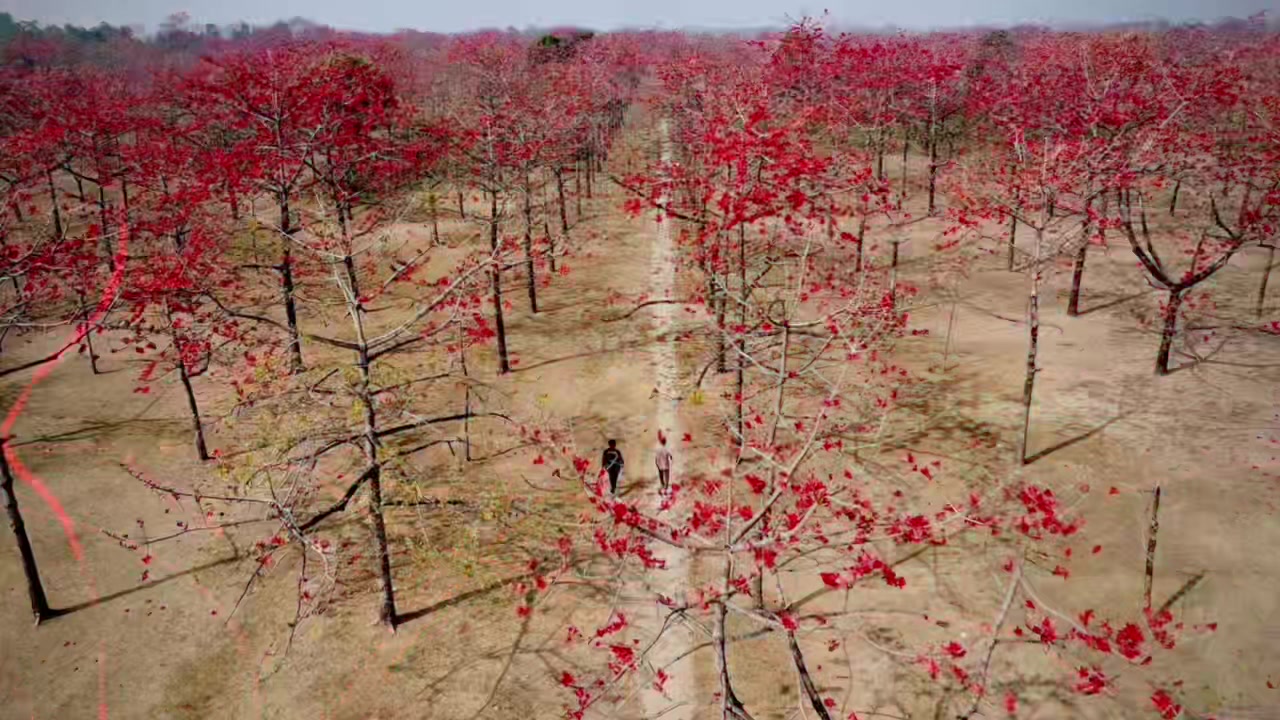 @đ¸đĻâī¸shimulbagan_1âī¸đ¸đĻ