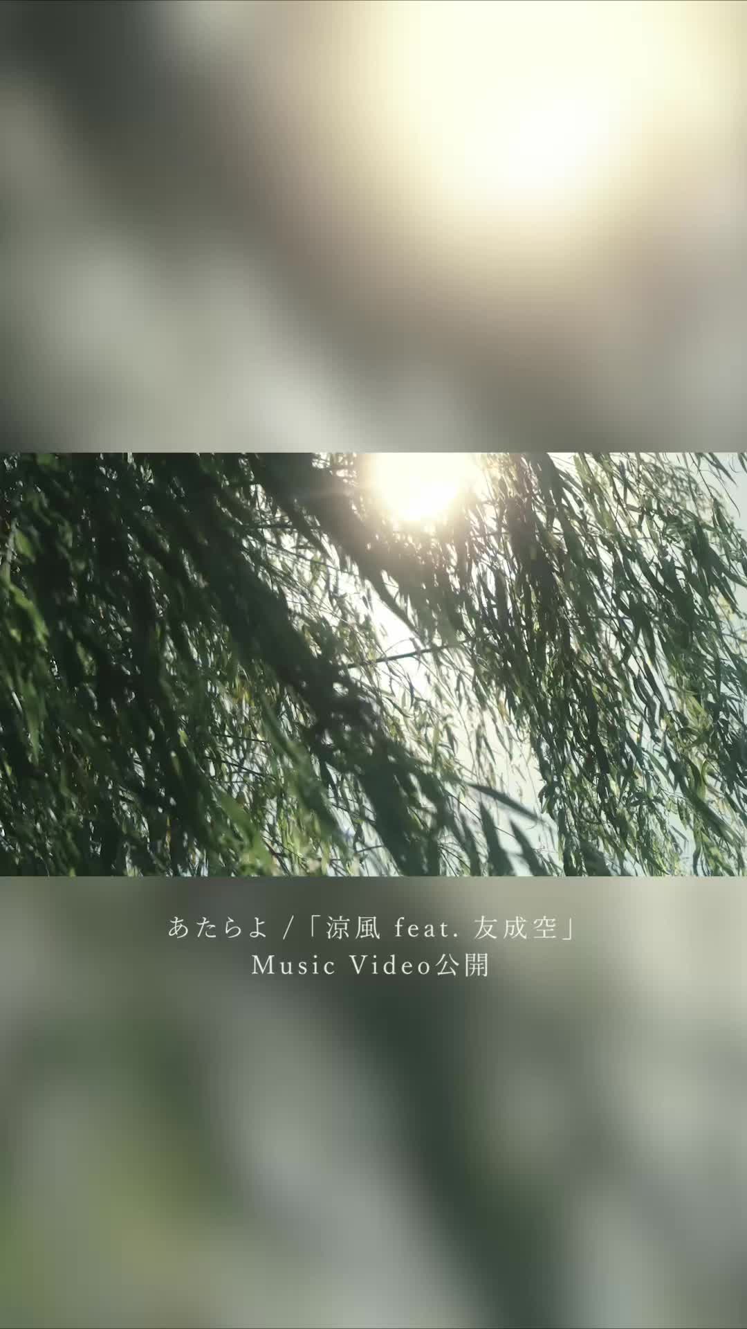 @kani