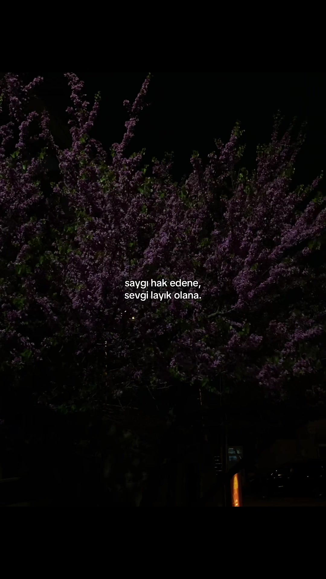 @𝓜.