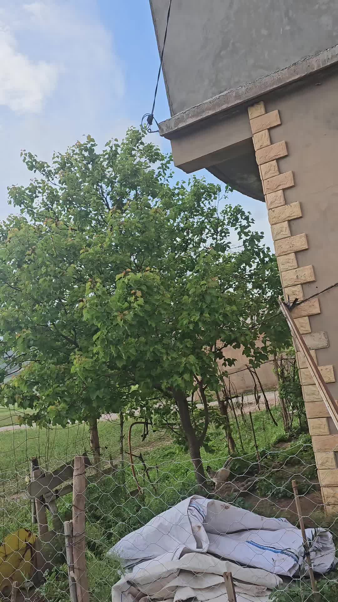 @𓆩𝒊𝒔𝒍𝒂𝒂𝒎♛| إِسْــــلاَمْ