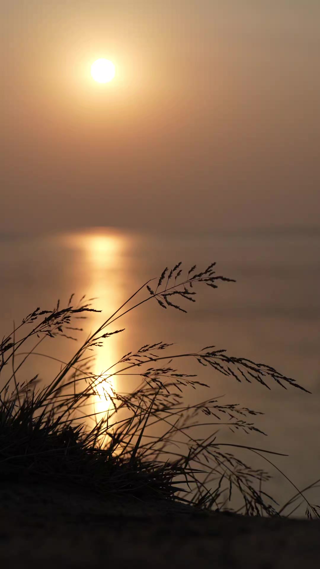 @نور الأمل