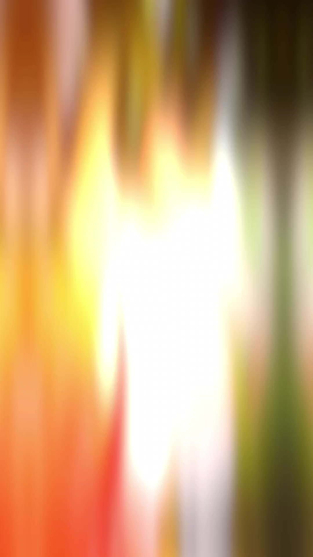 @*_S h a ล u m a_* ๐ผ๐พ๐