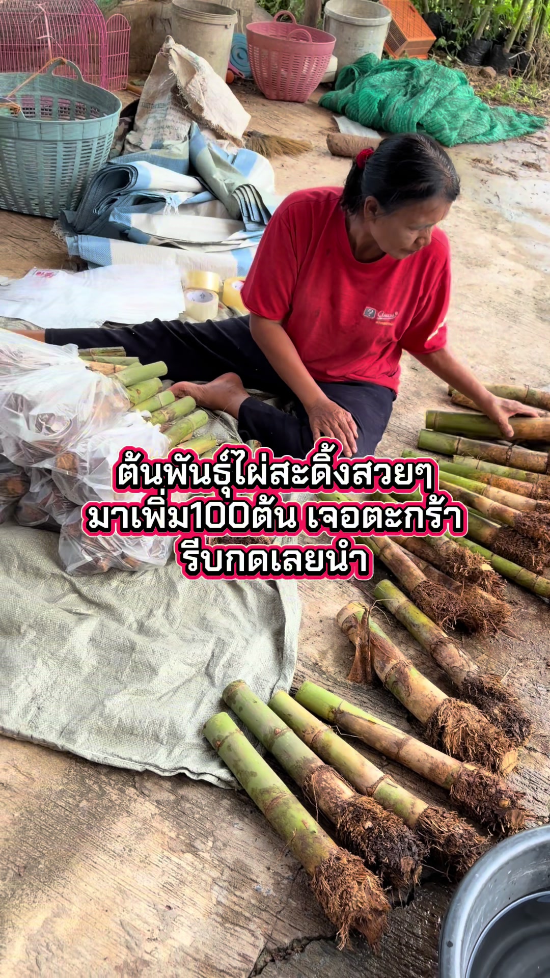 @นัดดาชอป