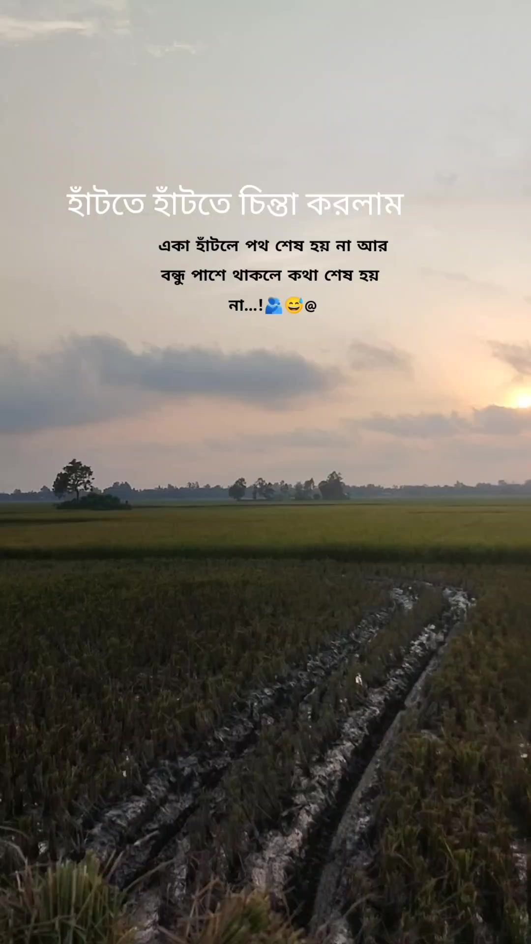 @Md Mir Sabbir