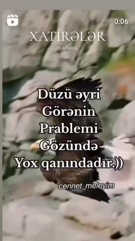 @🦁052🦁