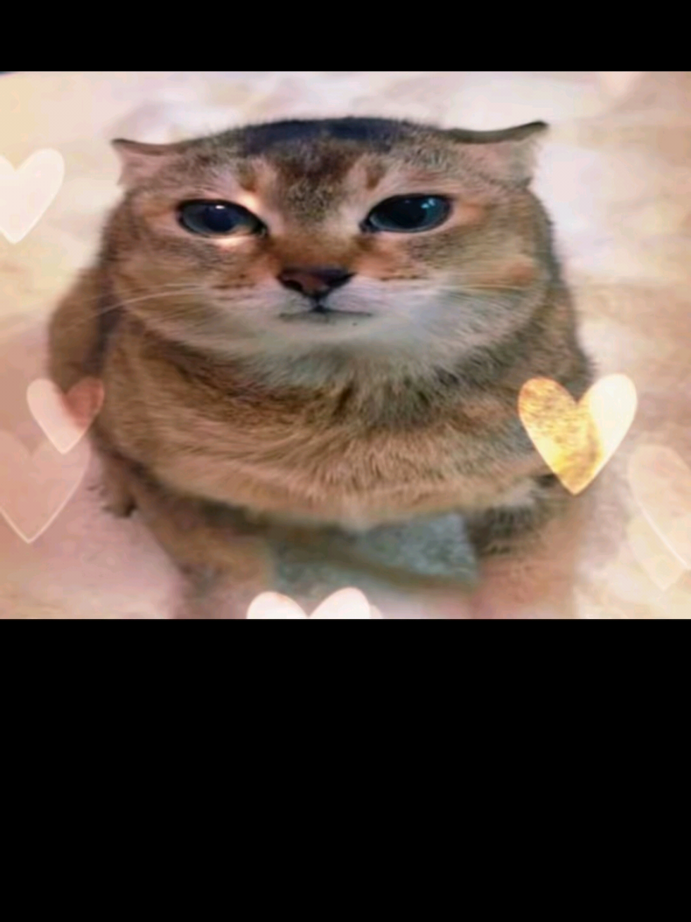 @TᖇᑌᒪY ᑎYᒪ.