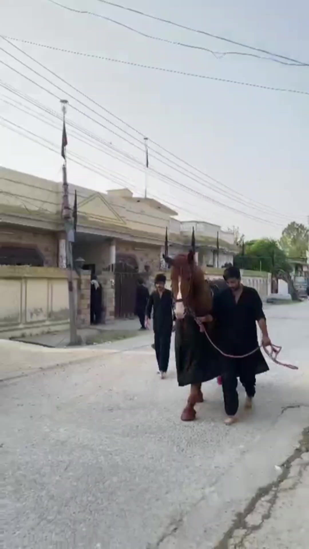 @مرکزی ذوالجناح تلہ گنگ