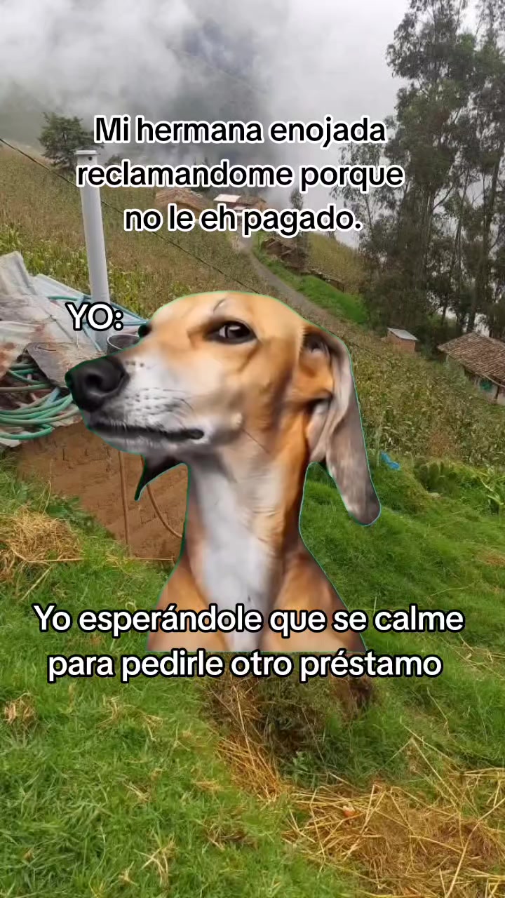 @Fanny Quispe❤️