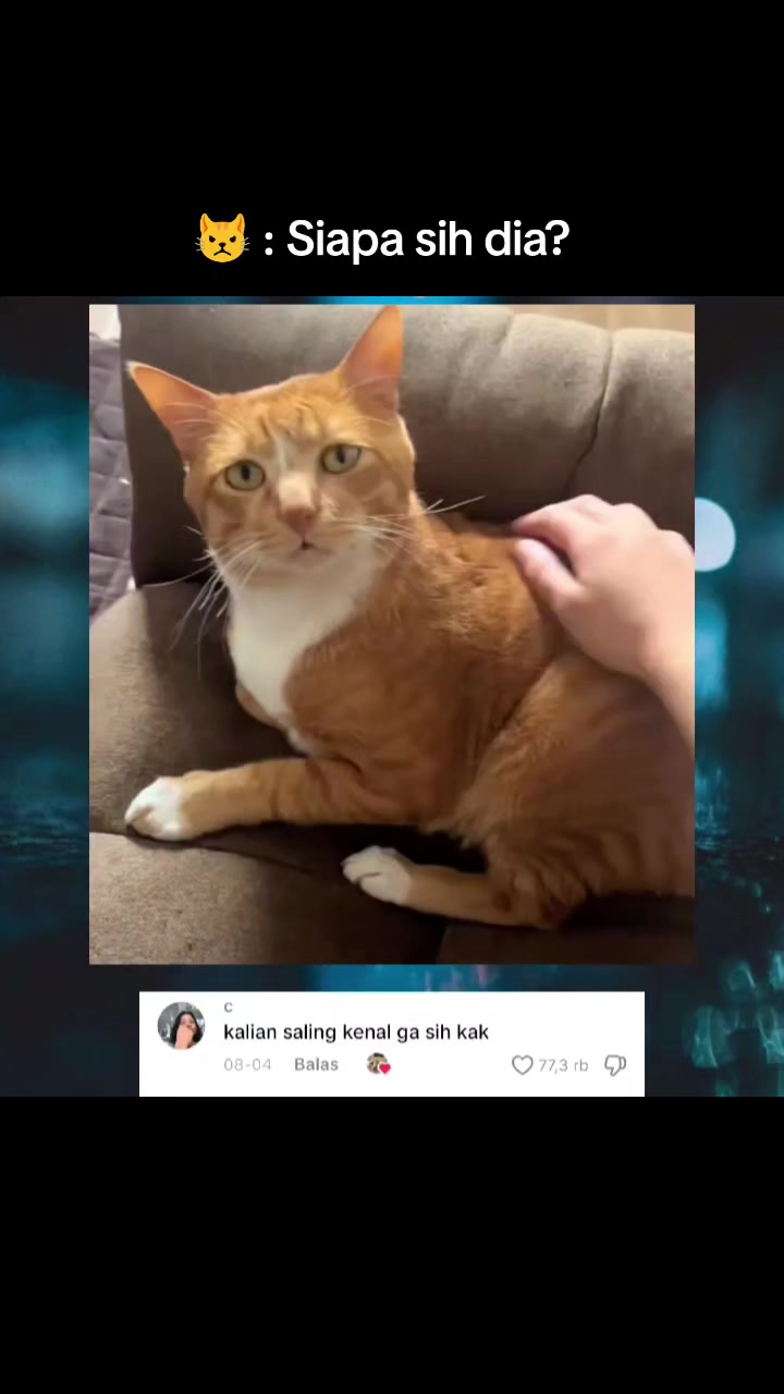 @Kiki