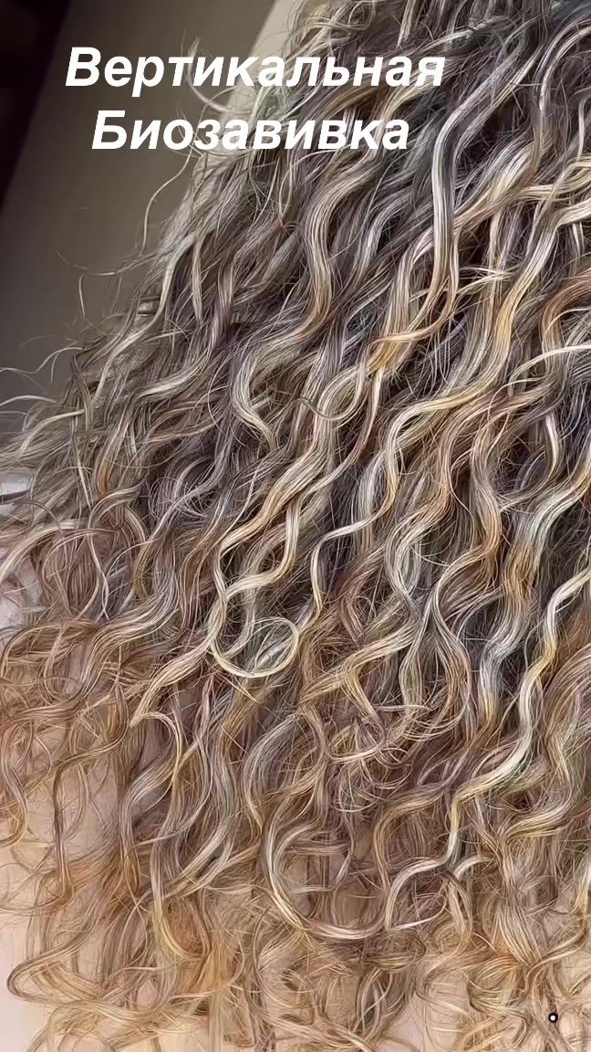 @sskamstudio
