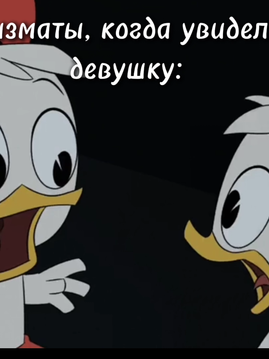 @Foxys-world