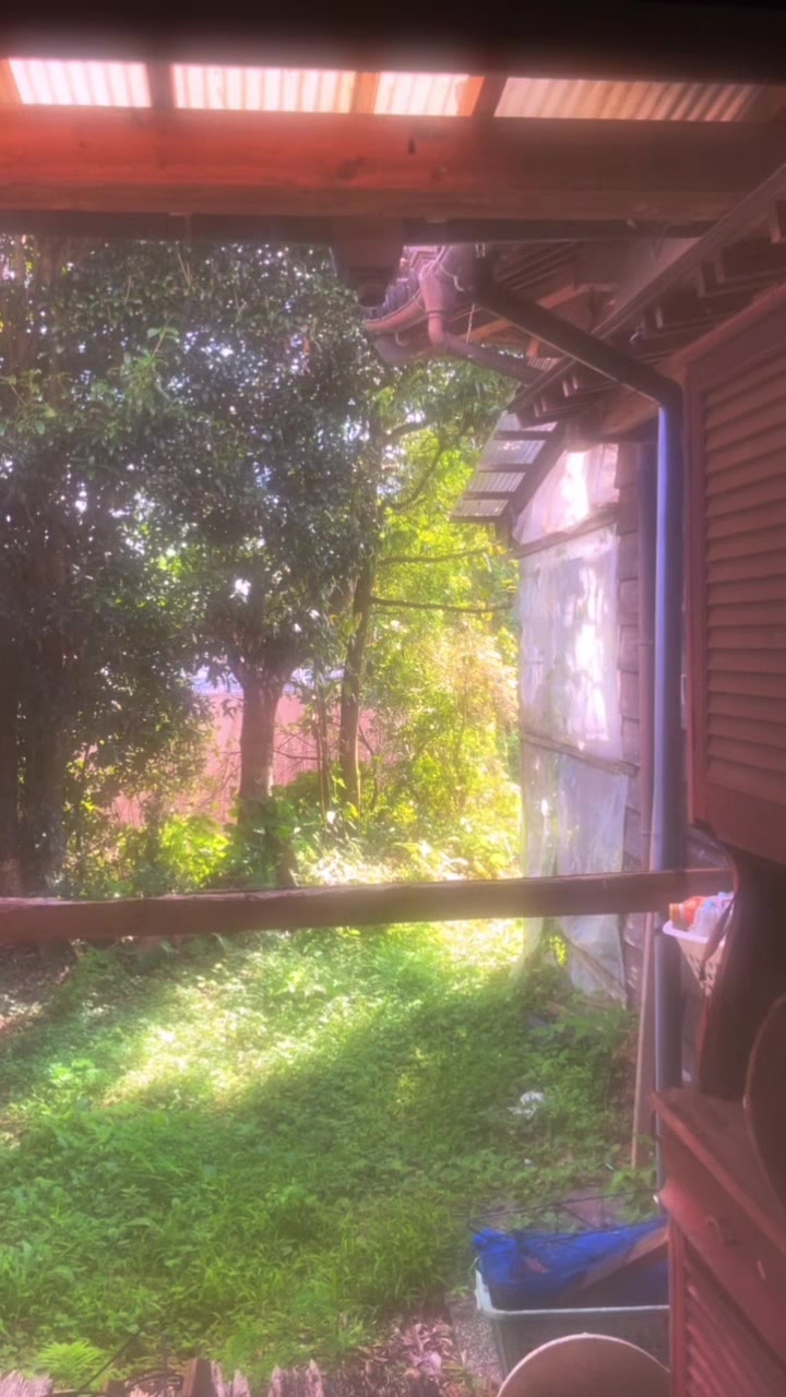 @︎︎夏空