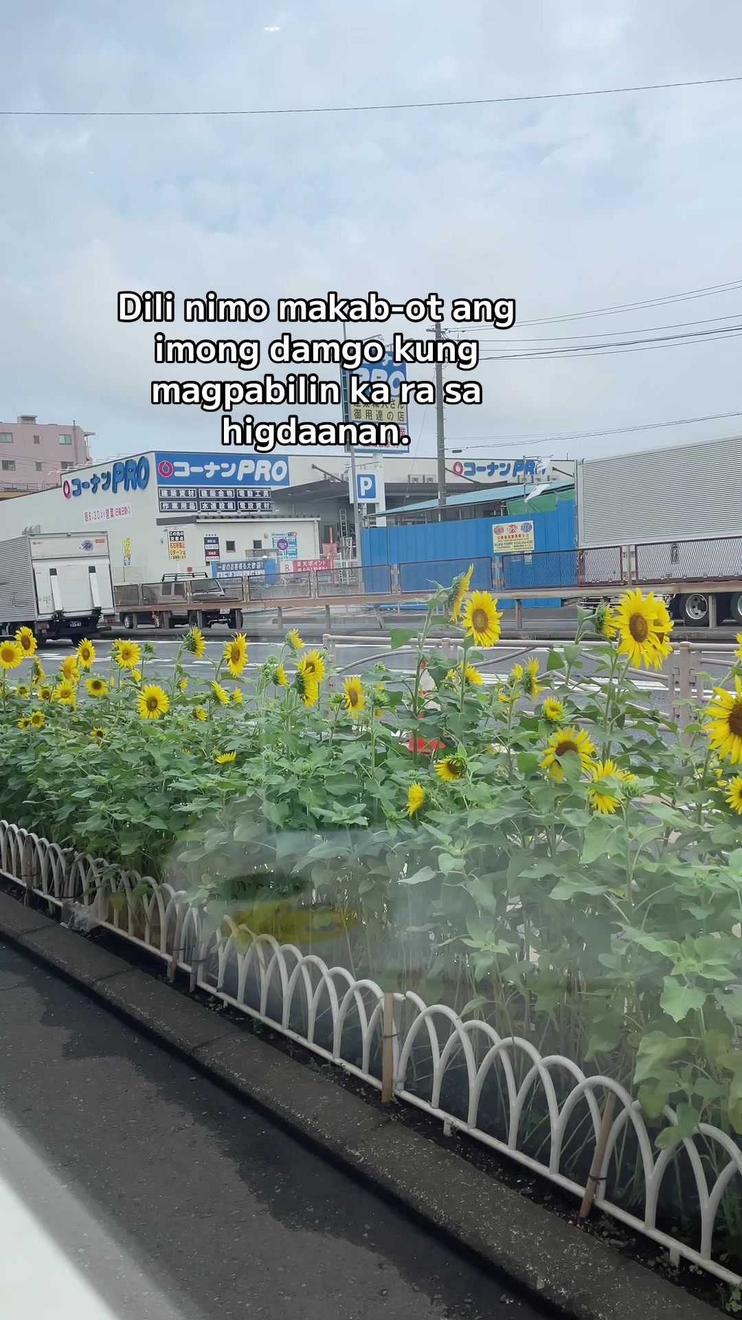 @MaO ไผ่ค๐ต๐ญ๐ฏ๐ต