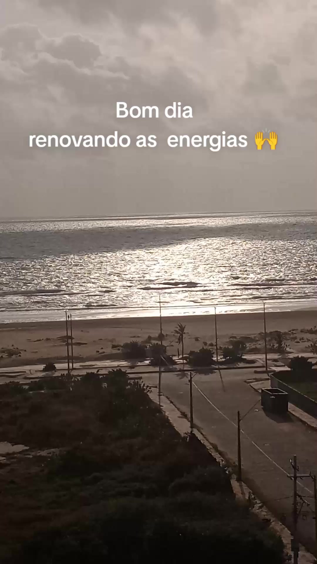 @erikacosta8127
