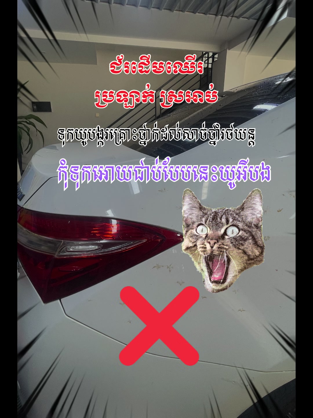 @SWAG AUTOS