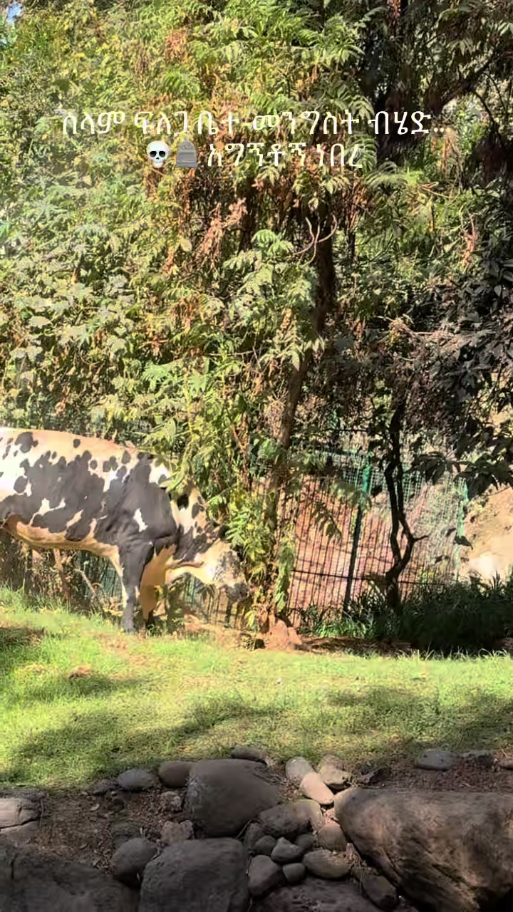 @በፀጋ