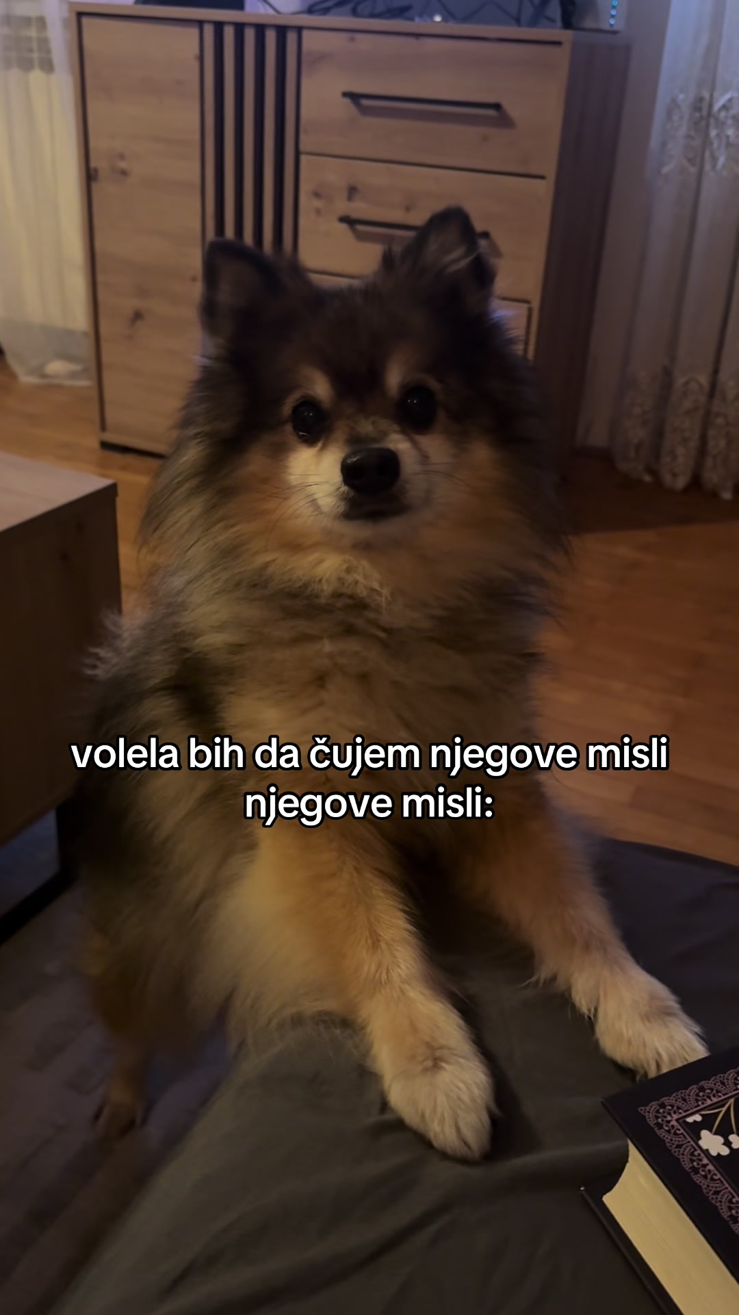 @Nina