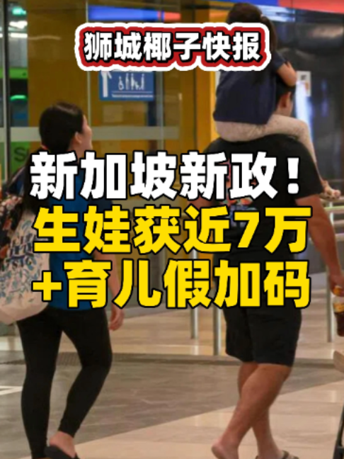 @新加坡狮城椰子