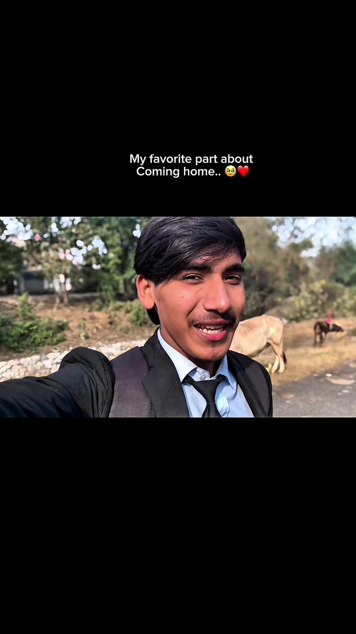 @Harry Bisht